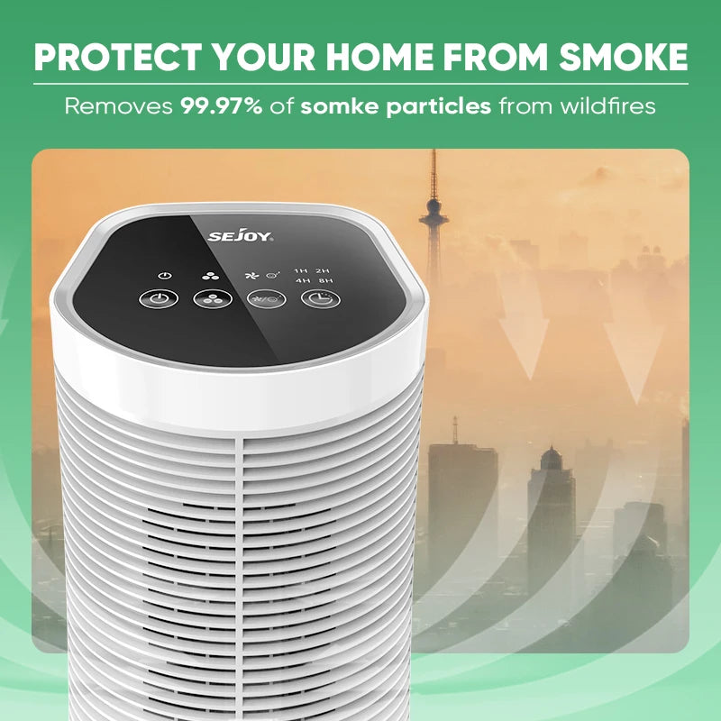 Dorm Room Air Purifier - Anti-Mold, Anti-Allergy