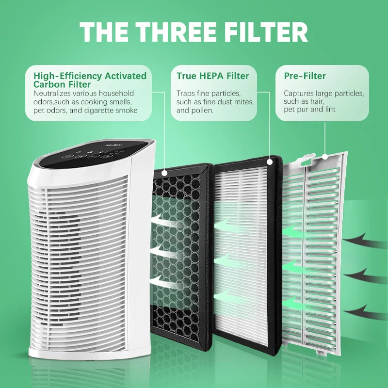 Dorm Room Air Purifier - Anti-Mold, Anti-Allergy